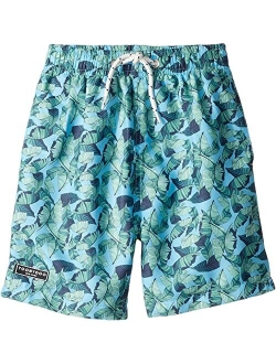 Toobydoo Classic Swim Shorts (Infant/Toddler/Little Kids/Big Kids)