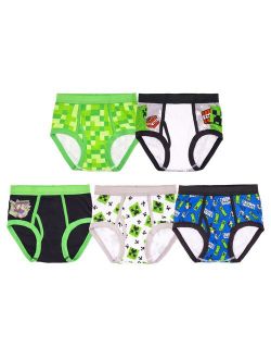 Boys 4-8 5-Pack Minecraft Briefs