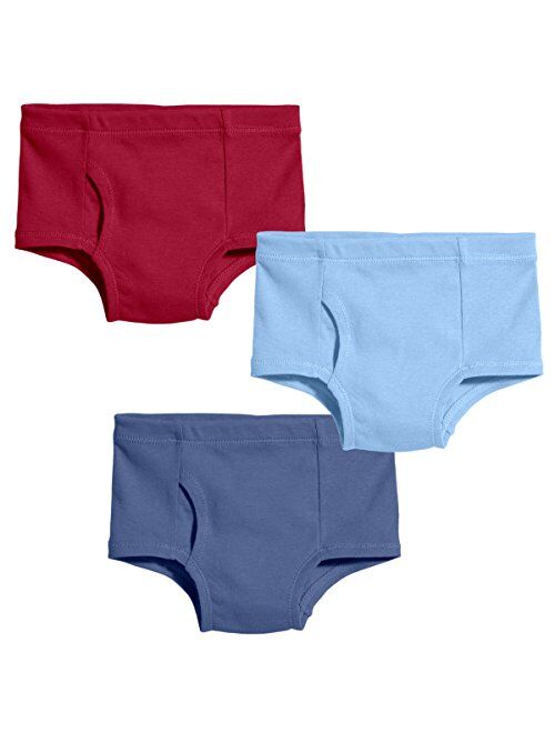 City Threads Boys' 100% Certified Organic Cotton Briefs Underwear Made in USA