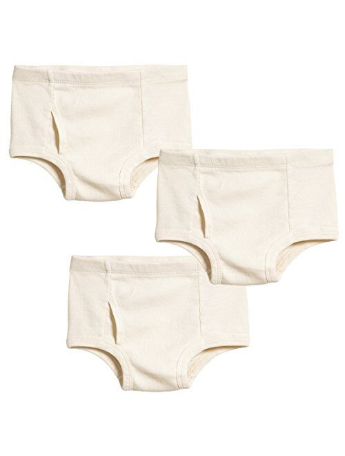 City Threads Boys' 100% Certified Organic Cotton Briefs Underwear Made in USA