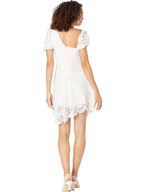 BCBGMAXAZRIA Scalloped Lace Dress