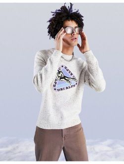 knit speckled yarn sweater with ski applique