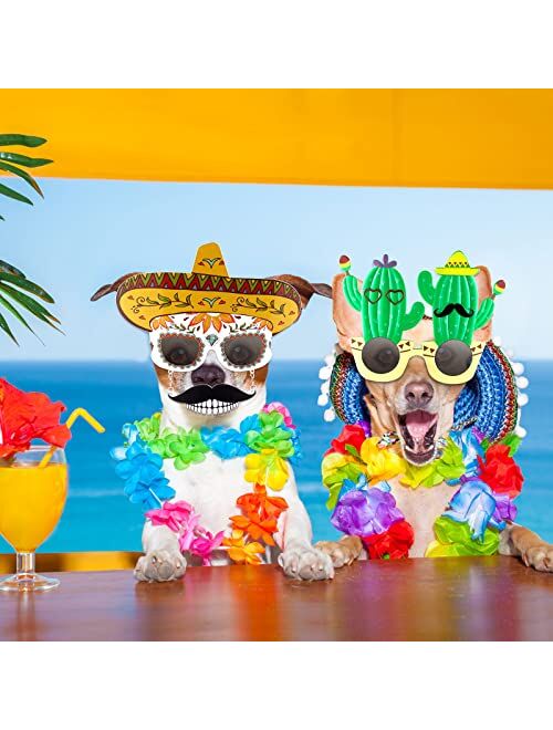 Flutesan 2 Pairs Fiesta Party Supplies Glasses Mexican Themed Costume Sunglasses Sombrero Cinco De Mayo Day of the Dead Decorations Cactus Funny Sunglasses Photo Booth Pr