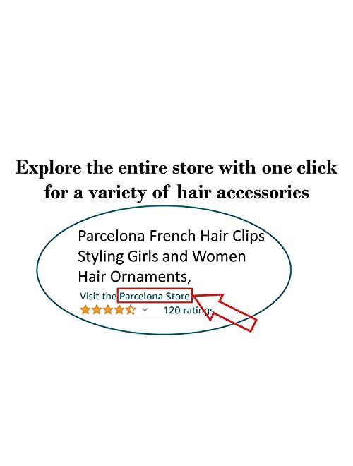 Parcelona French Radial Celluloid Chignon Hair Slide Pin Thru 3.5" Bun Cover Ponytail Holder Hair Updo Dome Round Hair Clips for Women, Made in France