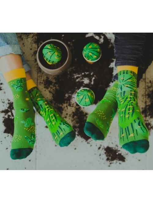 Rainbow Socks - Cactus in a pot green cactus socks for women and men gift for fans of cacti, succulents, green plants