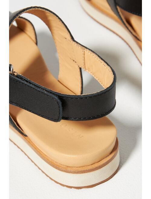 Nisolo Go-To Platform Sandals