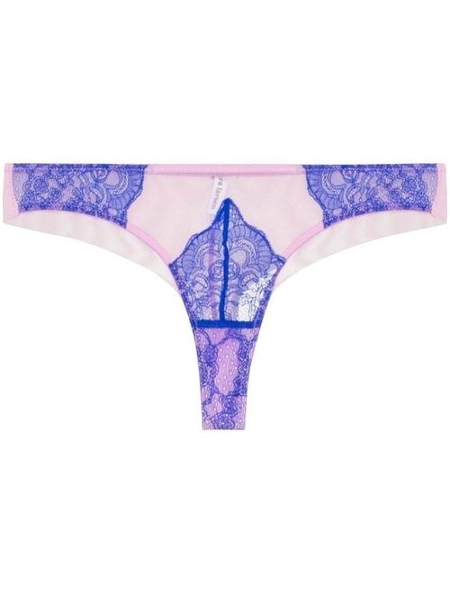 Dora Larsen Cameron lace thong