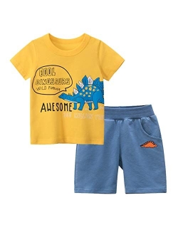 HZXVic Cotton Toddler Boy Clothes, Summer Outfits for Kids Shorts Sleeve T-Shirt and Pants Set 2-7T