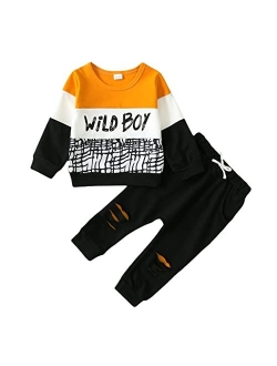 Kucnuzki Toddler Baby Boy Clothes Long Sleeve Top Shirt Boy Pants Kids Little Boy Clothing Sweatsuits Fall Outfits Boy