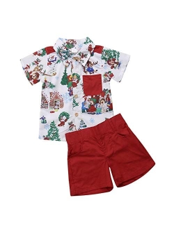 Charm Kingdom 2Pcs Toddler Kids Boys Summer Cartoon Crocodile T-Shirt Tops Plaid Shorts Outfits Set Clothes