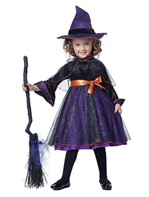 California Costumes Toddler Hocus Pocus Witch Costume - 3T/4T