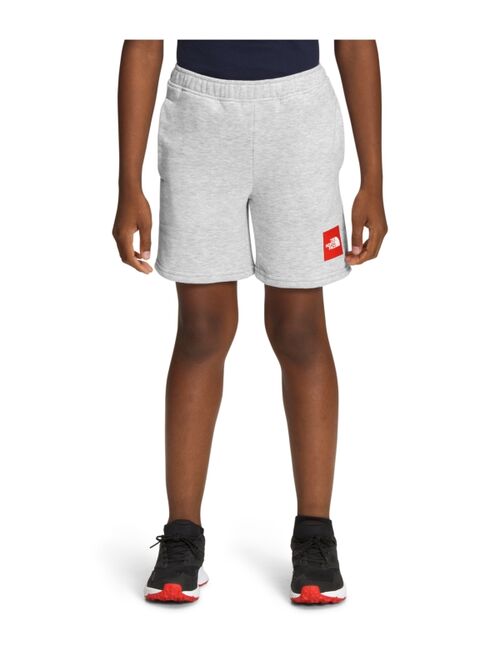 The North Face Big Boys Never Stop Wearing Shorts