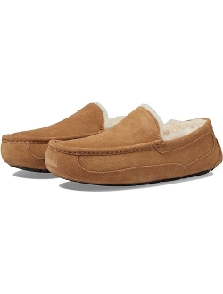 Men's Ascot Slipper