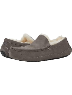 Men's Ascot Slipper