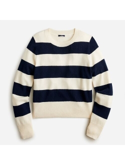 Cropped cashmere crewneck sweater in zebra stripe