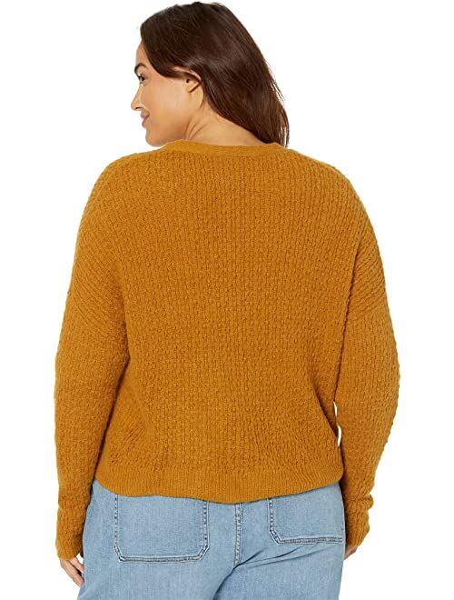 Madewell Plus Golden Pointelle Cardigan