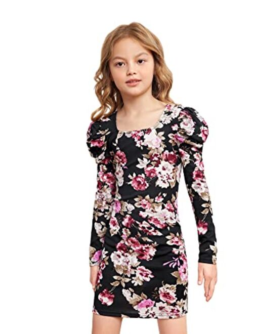 WDIRARA Girl's Sheer Mesh Puff Long Sleeve Round Neck Dress