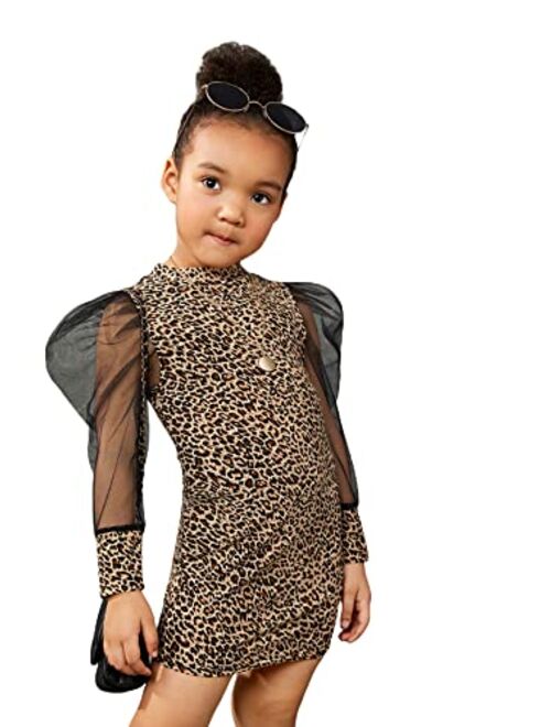 WDIRARA Girl's Sheer Mesh Puff Long Sleeve Round Neck Dress