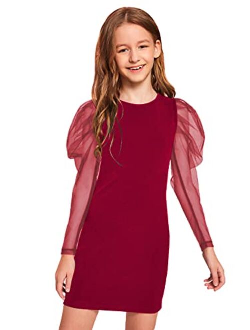 WDIRARA Girl's Sheer Mesh Puff Long Sleeve Round Neck Dress