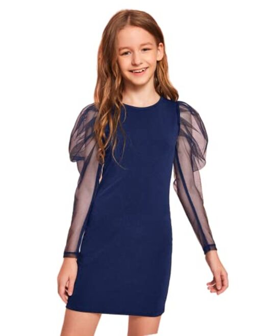 WDIRARA Girl's Sheer Mesh Puff Long Sleeve Round Neck Dress