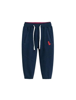 LeeXiang Boys Cotton Jogger Pants, Dinosaur Embroidery Sweatpants 1Pack or 2Pack