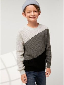 Boys Color Block Drop Shoulder Sweater