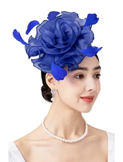 Zivyes Fascinators Headband Tea Party Hats for Women Royal Wedding Hat Feather Mesh Hair Clip