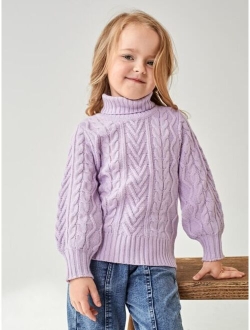 Toddler Girls Funnel Neck Cable Knit Sweater