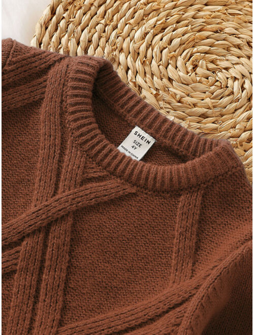 Shein Toddler Boys Solid Textured Knit Sweater