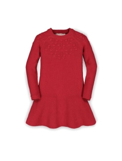 Hope Henry Girls' Skater Sweater Dress, Infant
