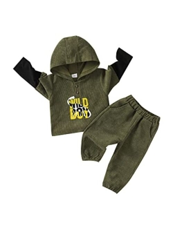 Sunny Piggy Toodler Baby Boy Clothes Long Sleeve Hoodie Pants Set Little Boy Clothing Cotton Sweatsuit Fall Winter Outfits