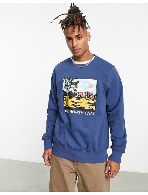 The North Face Graphic Injection chest print sweatshirt in blue