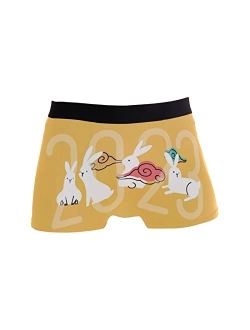 JINGNIUSIBO Men's Year of the Rabbit Comfort Boxer Briefs Underwear, S