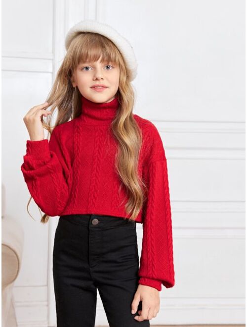 SHEIN Girls Turtleneck Cable Knit Tee