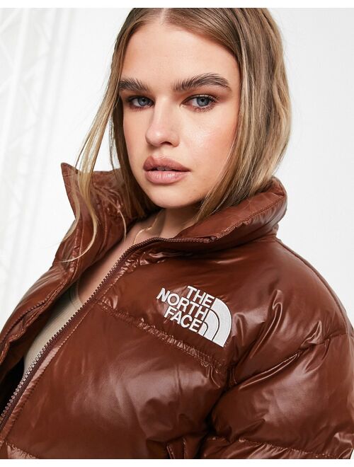 The North Face Nuptse cropped down jacket in brown