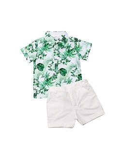 Visgogo Toddler Baby Boy Flamingo Short Sleeve Button Down Shirt & Casual Shorts Set Summer Outfits 1-6 Years Clothes