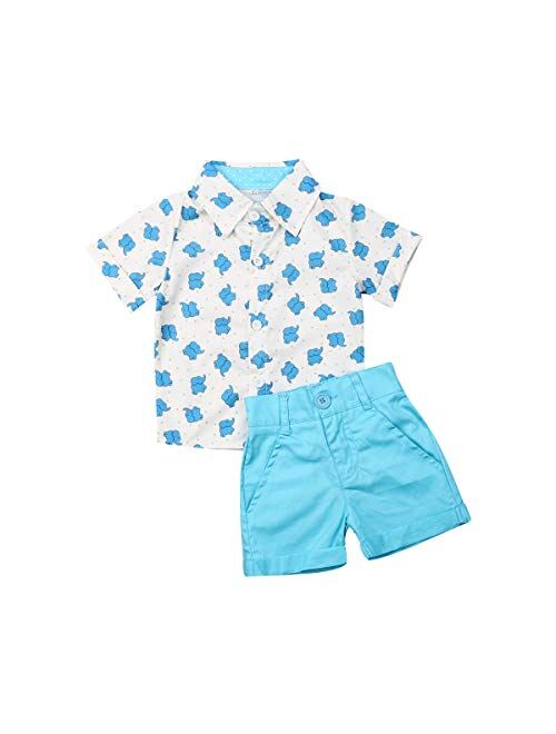 Visgogo Toddler Baby Boy Flamingo Short Sleeve Button Down Shirt & Casual Shorts Set Summer Outfits 1-6 Years Clothes