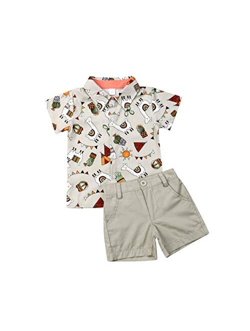 Visgogo Toddler Baby Boy Flamingo Short Sleeve Button Down Shirt & Casual Shorts Set Summer Outfits 1-6 Years Clothes