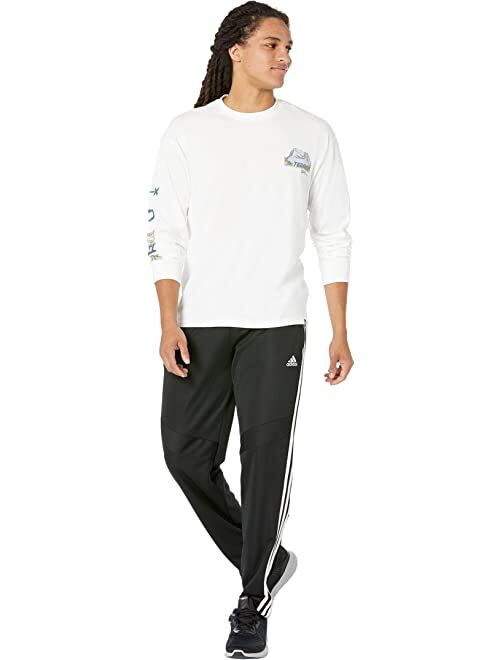 adidas Outdoor Terrex X National Park Foundation Long Sleeve Tee