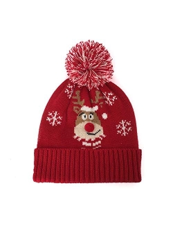 Feximzl Unisex Christmas Hat Winter Knitted Crochet Beanie Santa Hat for Women Men