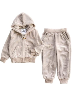 NOONOOJOOJOO Kids Baby Girls Tracksuit Velour Hooded Jogger Pants Set Sweatsuit 2-10Years Gift