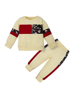 WESIDOM Baby Girl Clothes Sets, 2pcs Autumn Long Sleeve Clothes Outfits Toddler Girl Sweater Sets