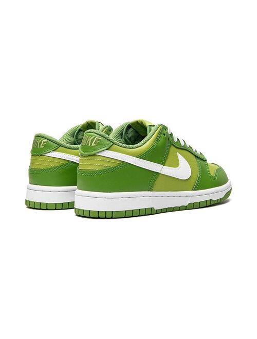 Nike Kids TEEN Dunk Low Top Sneakers