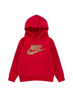 Toddler Boy Nike Metallic Logo Hoodie