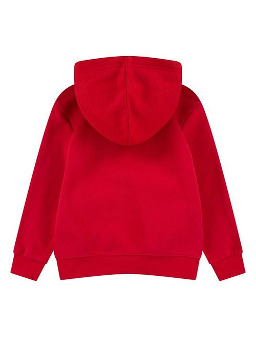 Toddler Boy Nike Metallic Logo Hoodie