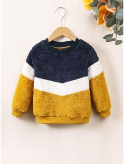 Toddler Boys Color Block Teddy Sweatshirt