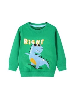 Cm-Kid Boys Sweatshirts Elephant Pullover T-Shirts Toddler Cotton Cute Tops Tee Long Sleeve Outdoor Outfit