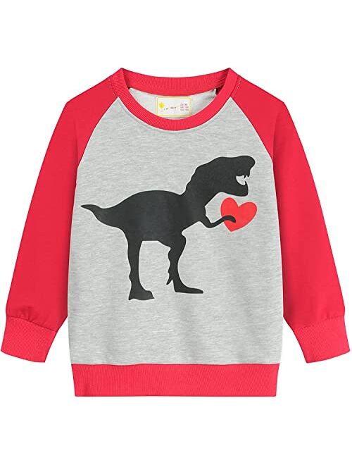 Cm-Kid Boys Sweatshirts Elephant Pullover T-Shirts Toddler Cotton Cute Tops Tee Long Sleeve Outdoor Outfit