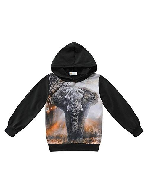 Cm-Kid Boys Sweatshirts Dinosaur Hoodie Tops Toddler Hooded T-Shirts Casual Hoodies Long Sleeve Outdoor Outfit