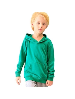 ALALIMINI Toddler Hoodies Boys Hoody Kids Cotton Hooded Pullover Sweatshirts